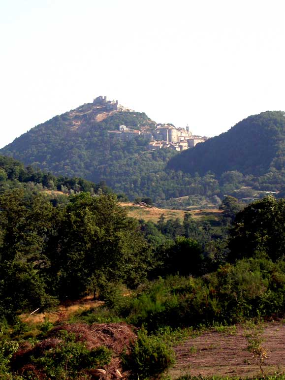 norara del Comunale