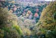 Colori d'autunno